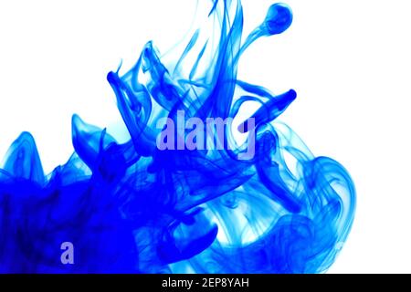 Blaue Tinte im Wasser auf weißem Hintergrund.Blot Tinte. Blaue abstrakte Farbe auf weißem Hintergrund.Farbe wirbelnd. Stockfoto