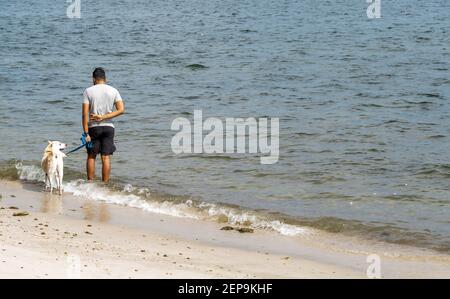 Mann beim Gehen mit seinem Hund auf einer Strandseite Weißer Sand und Wellen Stockfoto