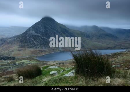 Windgepeitschte Gräser auf den Hängen von Pen yr Ole Wen mit Blick auf Tryfan und die Glyderau-Bergkette in Snowdonia, Wales. Stockfoto