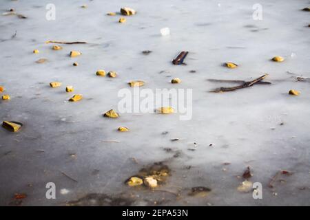 Steine auf gefrorenem Eis, Deininger Weiher Stockfoto