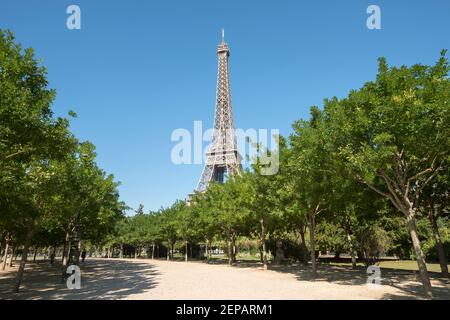 Der Eiffelturm, der sich über einen Baumkronengang am Champ de Mars in Paris, Frankreich, Europa erhebt. Stockfoto