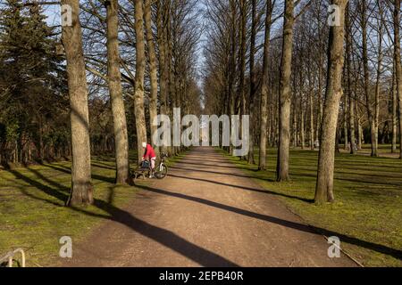 Der französische Garten direkt vor der Altstadt von Celle ist ein berühmter Ort für Wochenendausflüge bei gutem Wetter. Stockfoto