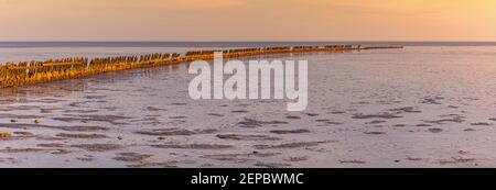 Sonnenaufgang über dem Wattenmeer bei Wierum in der Provinz Friesland. Stockfoto