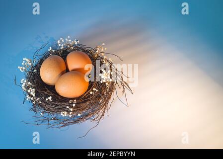 Osterkorb und Frühlingsblumen mit ostereiern auf Holzhintergrund mit morgendlichen sonnigen Fensterstrahlen. Platz für osterfeiertage Text kopieren Stockfoto