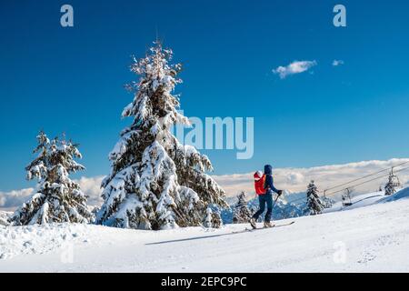 Auf dem Berg Zoncolan, Karnischen alpen nach einem großen Schneefall. Provinz Udine, Region Friaul-Julisch Venetien, Italien Stockfoto