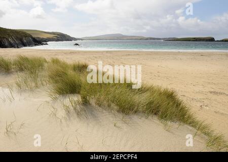Sanddünen am Strand von St Ninian's Isle, Shetland. Stockfoto