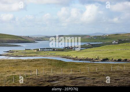 Häuser rund um die Inseln Ost und West Burra, Shetland. Stockfoto