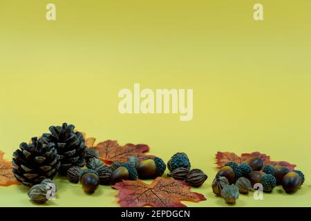 Tannenzapfen, Herbstblätter und Samen auf gelbem Hintergrund. Herbst Thanksgiving Hintergrund mit Copy Space Stockfoto