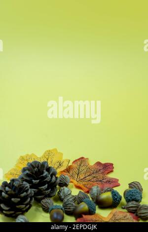 Tannenzapfen, Herbstblätter und Samen auf gelbem Hintergrund. Herbst Thanksgiving Hintergrund mit Copy Space Stockfoto