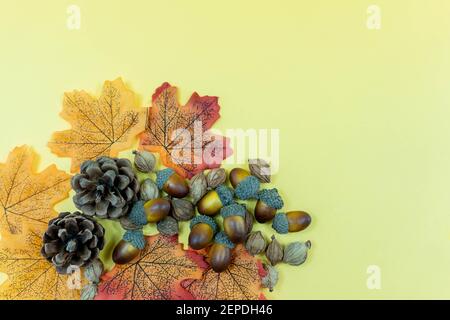 Tannenzapfen, Herbstblätter und Samen auf gelbem Hintergrund. Herbst Thanksgiving Hintergrund mit Copy Space Stockfoto