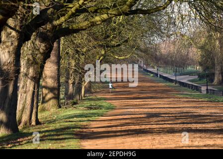 Hyde Park, London, Großbritannien. Februar 2021, 27th. UK Wetter: Sonniger Morgen im Hyde Park. Kredit: Matthew Chattle/Alamy Live Nachrichten Stockfoto