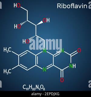 Riboflavin, Vitamin-B2-Molekül. Es ist wasserlöslich flavin, wird in Lebensmitteln gefunden, als Nahrungsergänzungsmittel verwendet E101. Strukturelle chemische Formel auf dem Stock Vektor