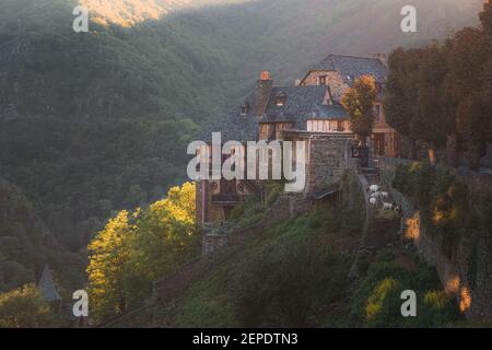 Ziegen grasen auf einem Hügel bei Sonnenuntergang oder Sonnenaufgang im malerischen und charmanten mittelalterlichen französischen Dorf Conques, Aveyron in der Region Okzitanien von Franc Stockfoto