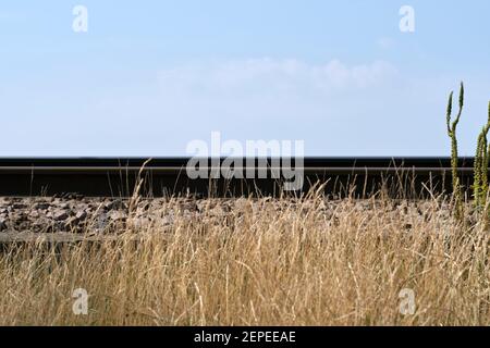 Augenhöhe der Eisenbahnstrecke auf einem Damm entlang der Felixstowe-Nebenstrecke, Trimley, Suffolk, Großbritannien. Stockfoto