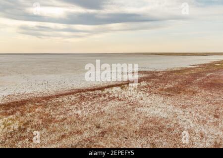 Ein trockener Salzsee in der Steppe von Kasachstan. Dürre und Klimawandel. Stockfoto