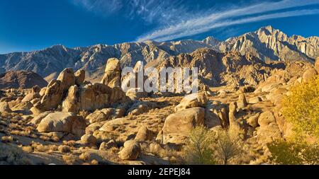 Eastern Sierra Nevada, Baum in Herbstfarben, Blick von Alabama Hills, bei Lone Pine, Kalifornien, USA Stockfoto