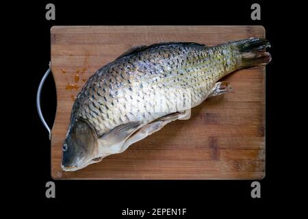 Abtauen Karpfen Fisch auf Holz Schneidebrett isoliert auf schwarzem Hintergrund. Flach legen oder oben suchen Stockfoto