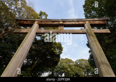 Ein riesiges Torii-Tor, das zum Meiji-Schrein in Tokio, Japan, führt. Stockfoto