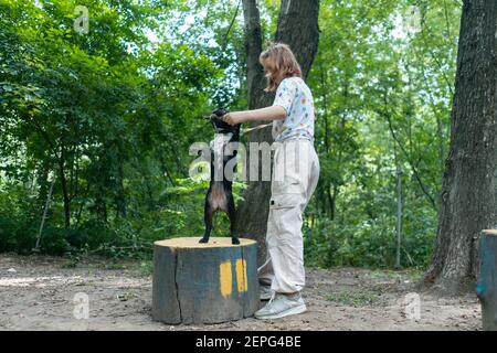 Kind spielen und trainieren französisch Bulldogge oder Welpe mit Stock Auf dem Spielplatz im Park Stockfoto