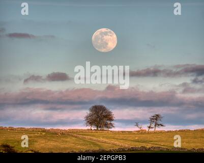 Vollschneemon über den Derbyshire Dales im Peak District National Park, Derbyshire, England, Großbritannien Stockfoto