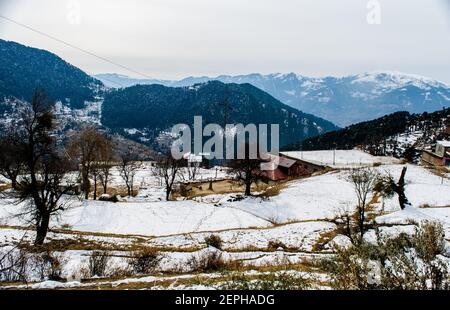 Patnitop eine Stadt Jammu und sein Park mit weißem Schnee bedeckt, Winterlandschaft Stockfoto