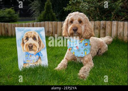 Ein Cockapoo-Hund saß neben einem Aquarell-Porträt Stockfoto