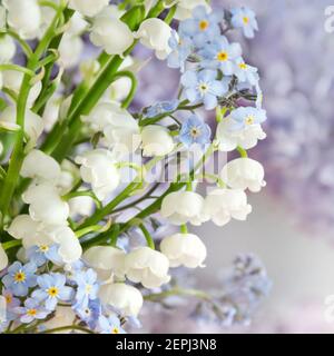 Maiglöckchen und Vergissmeinnicht-Blumen Stockfoto