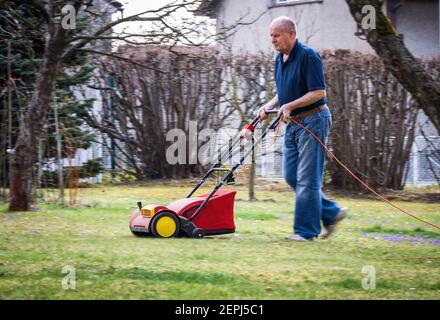 Senior Mann verticutting Rasen im Frühjahr. Alter Gärtner kultivierte Gras mit Vertikutengras Stockfoto