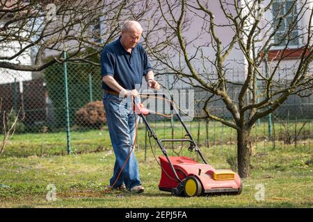 Senior Mann verticutting Rasen im Frühjahr. Alter Gärtner kultivierte Gras mit Vertikutengras Stockfoto