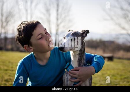 Junge umarmt seinen Hund im Freien. Freundschaft zwischen dem jungen Tierbesitzer und seinem Whippet. Kleiner Junge und sein bester Freund. Stockfoto