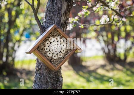 Insektenhotel oder -Haus aus Holz im Garten. Schutz für Insekten, Insekten und Wildbienen im Freien Stockfoto