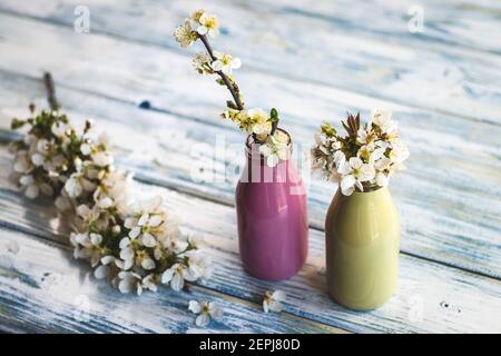 Blühender Frühlingszweig und Blütenblätter in bunten Flaschen auf weißem Tisch. Inneneinrichtung für Zuhause. Designkonzept Stockfoto