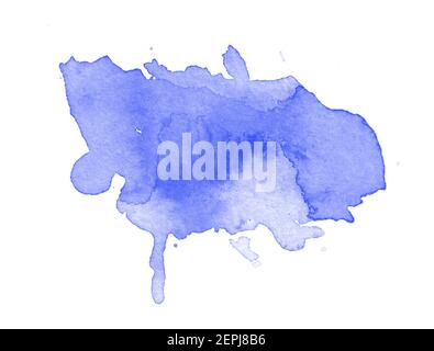 Schöne blaue Fleckbürste isoliert auf weiß Stockfoto