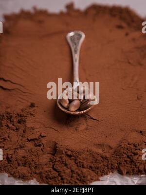 Ein Löffel mit Kaffeebohnen auf dem Hintergrund von gemahlenem geröstetem Kaffee. Stockfoto