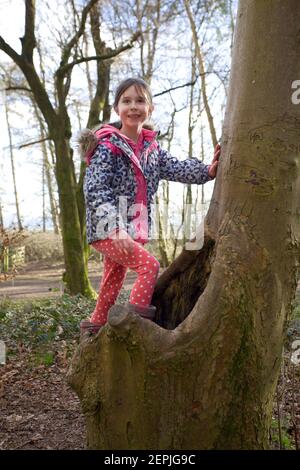 Junges Mädchen klettert Bäume im Wald. England Stockfoto