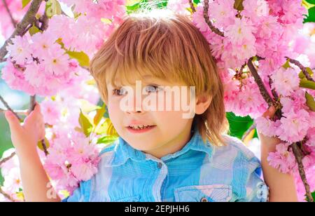 Überraschendes Kind in der Sakura-Blüte. Nettes Kind Junge in rosa blühenden Blumen sakura. Stockfoto