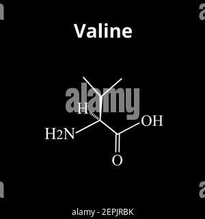 Valin-Aminosäure. Chemische Molekülformel der Valin-Aminosäure. Vektorgrafik auf isoliertem Hintergrund Stock Vektor