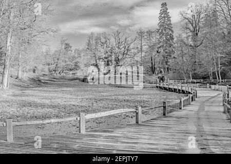 Ein paar Wanderer genießen Sie die herbstlichen frostigen Blick entlang einem Holzsteg Stockfoto