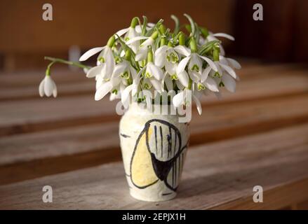 Nahaufnahme mit Schneeglöckchen, die mit Tau bedeckt sind Eine Minivase auf dem Holzhintergrund Stockfoto