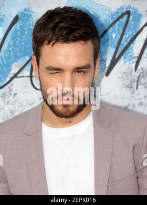 Jun 25, 2019 - London, England, UK - The Serpentine Gallery Summer Party Foto-Shows : Liam Payne Stockfoto