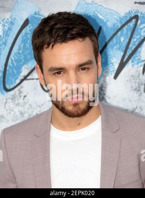 Jun 25, 2019 - London, England, UK - The Serpentine Gallery Summer Party Foto-Shows : Liam Payne Stockfoto