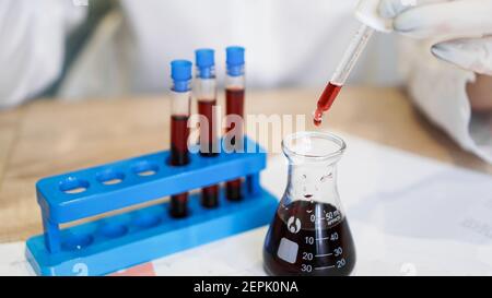 Nahaufnahme einer Pipette, die eine rote Probe in einen Testkolben tropft. Forscherin mit Pipette. Das Konzept der Analysen und Diagnostik Stockfoto