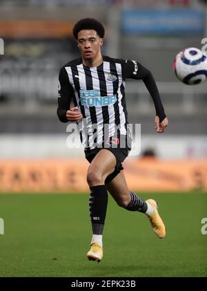 Jamal Lewis von Newcastle United während des Premier League-Spiels im St. James' Park, Newcastle. Bilddatum: Samstag, 27. Februar 2021. Stockfoto