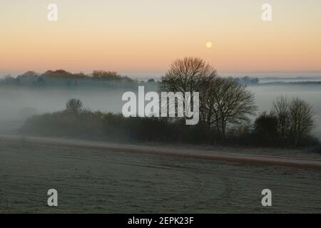 Blick durch Nebel und Nebel über Felder und Bäume in Der frühe Morgensonne Stockfoto