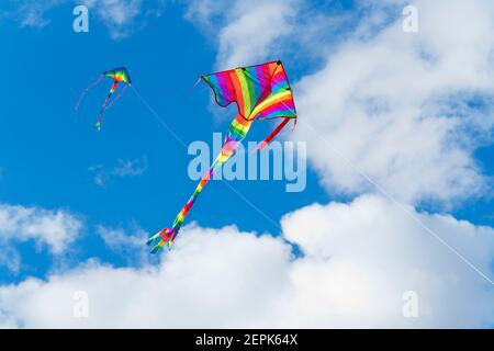 Zwei bunte Drachen in einem blauen Himmel mit weißen Wolken - Fokus auf den Drachen im Vordergrund Stockfoto