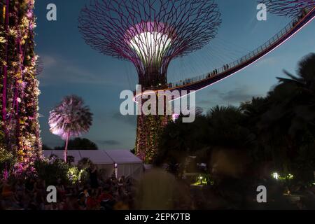 Licht- und Musikshow im Super Tree Grove in den Gardens of the Bay in Singapur. Stockfoto