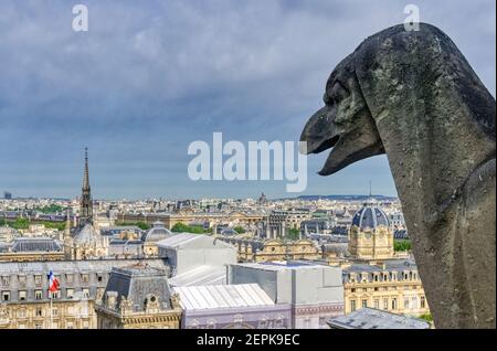 Der Blick über Paris vom Turm von Notre Dame De Paris mit den Wasserspeiern Stockfoto