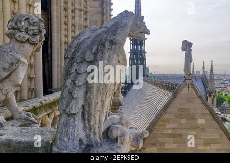 Der Blick auf das Dach von Notre Dame de Paris Der Turm mit den Wasserspeiern und dem Turm, der war Kürzlich zerstört Stockfoto