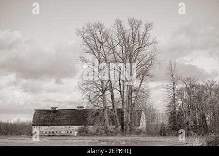 Old Barn im Nisqually Wildlife Reserve, Washington State, USA Stockfoto