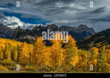 Approaching Storm, Espen, Cimarron Ridge, Abgrund Peak, Uncompahgre National Forest, Colorado Stockfoto